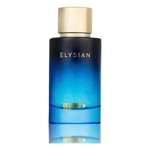 PERFUME DESTINO ELYSIAN EDP MASC 100ML
