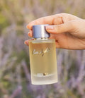 PERFUME DESTINO BLUE LIGHT EDT FEM 100ML